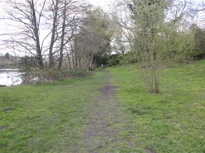 Picture 4